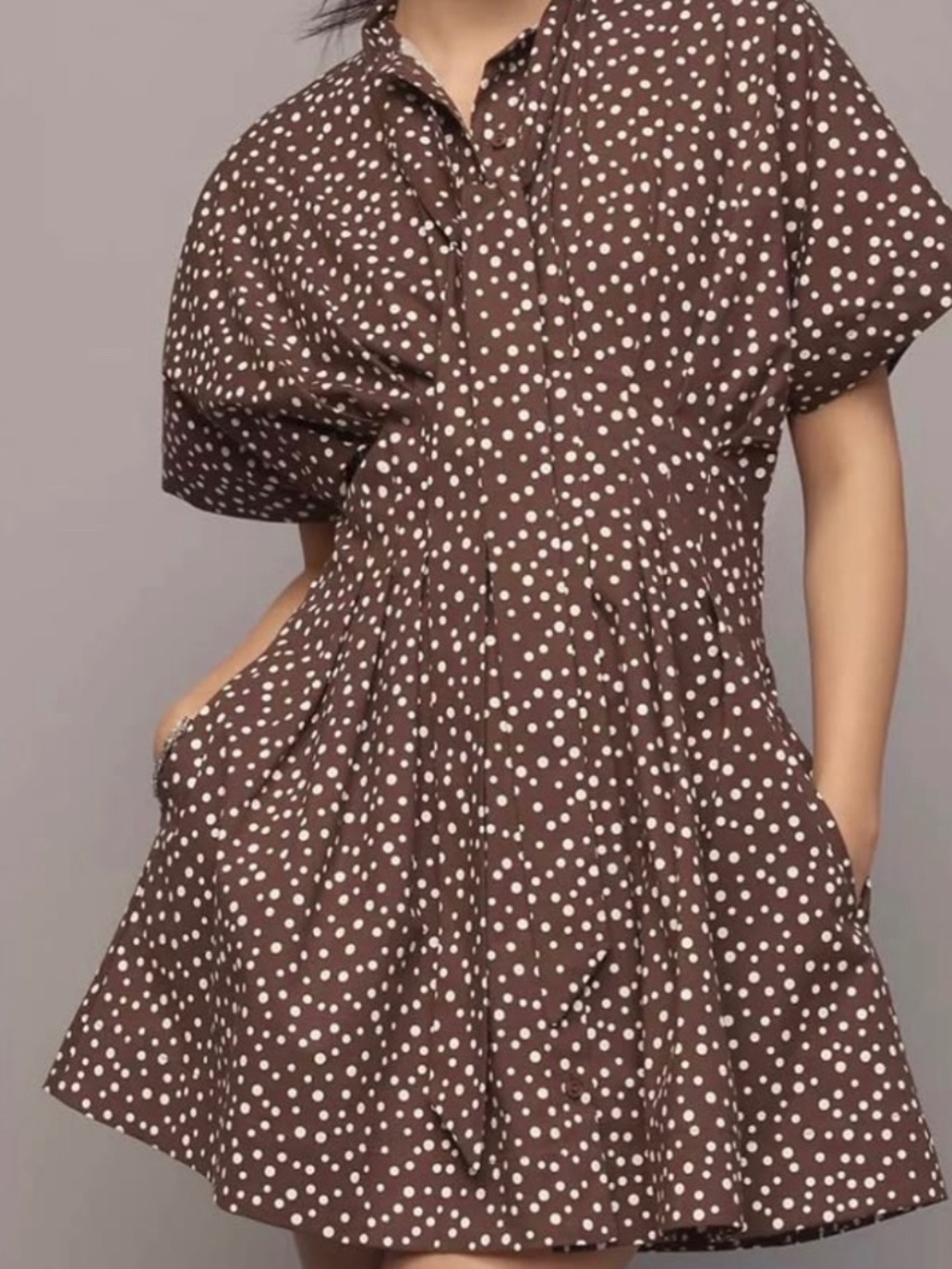 Anthropologie brown polka dot dress